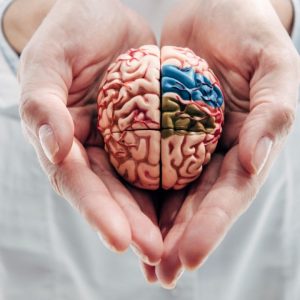 neurology surgery