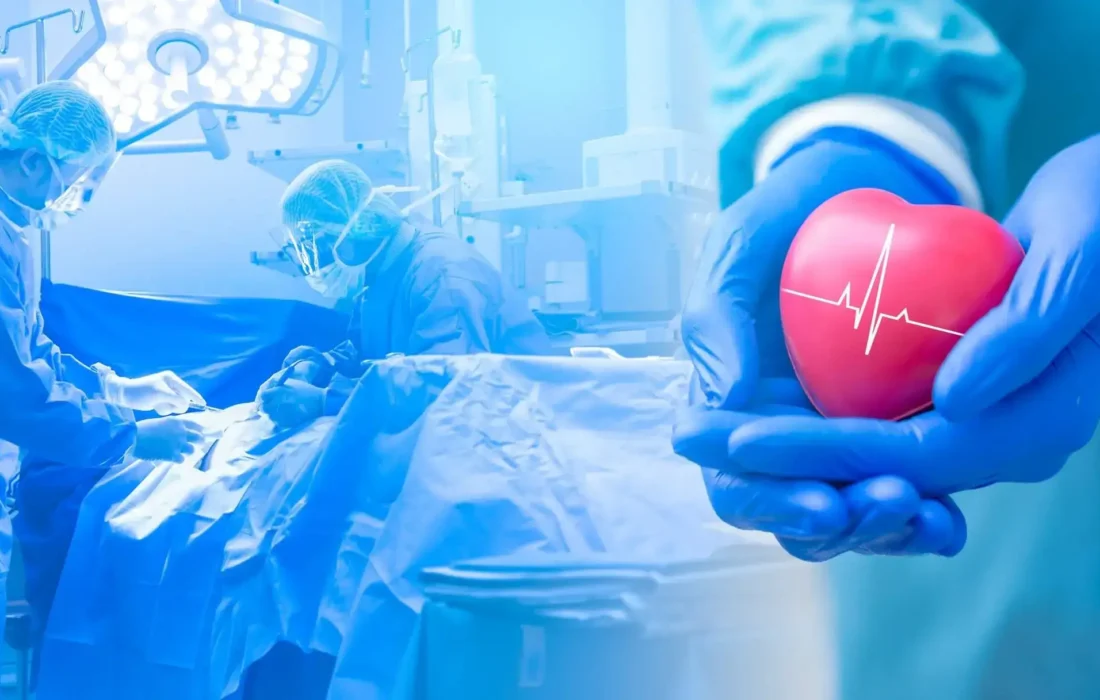 Heart-and-Brain-min-scaled (1)